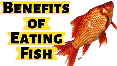 benefits of eating fish|11 Evidence.